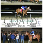 Shiloh’s Mistress - 01-10-24 R05 Tp Turfway Park