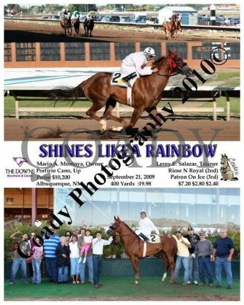Shines Likea Rainbow - 10 12 2009 Downs At Albuquerque