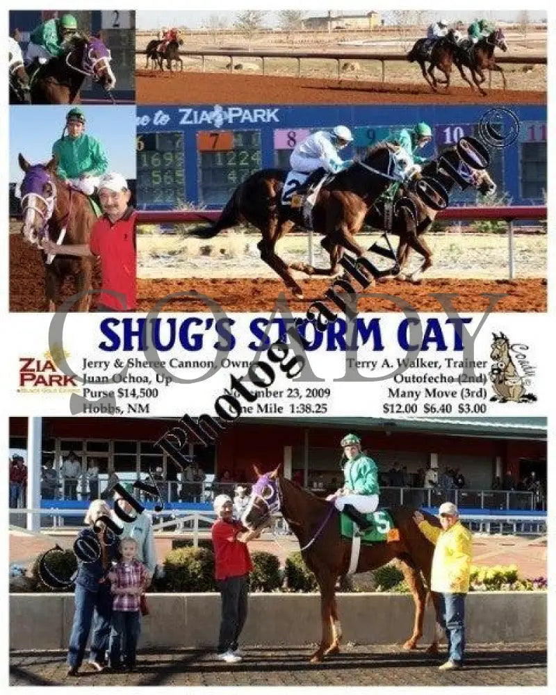 Shug S Storm Cat - 11 23 2009 Zia Park