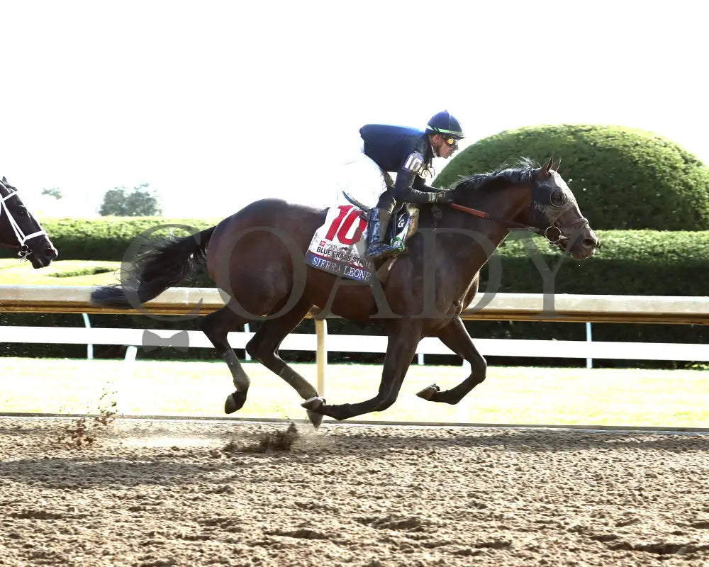 Sierra Leone - The Toyota Blue Grass G1 100Th Running 04 - 06 - 24 R10 Kee Finish 01 Keeneland