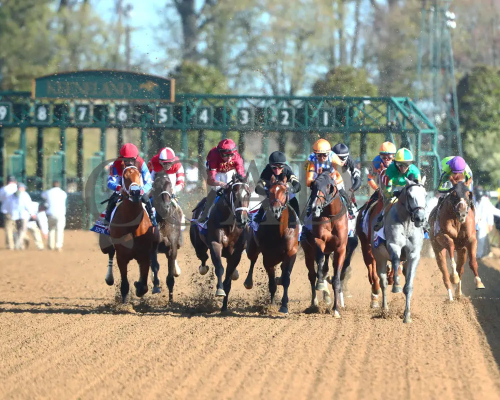 Sierra Leone - The Toyota Blue Grass G1 100Th Running 04 - 06 - 24 R10 Kee First Turn 01 Keeneland