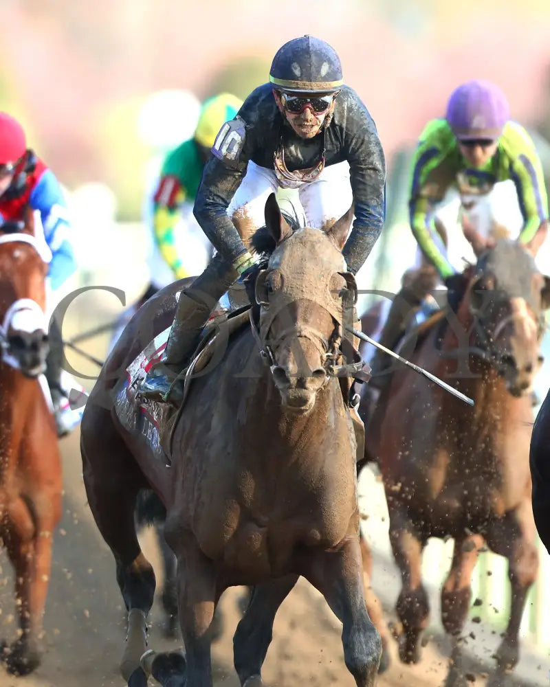 Sierra Leone - The Toyota Blue Grass G1 100Th Running 04 - 06 - 24 R10 Kee Gallop Out 01 Keeneland