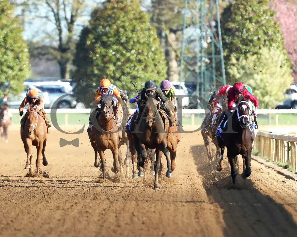 Sierra Leone - The Toyota Blue Grass G1 100Th Running 04 - 06 - 24 R10 Kee Head On 01 Keeneland