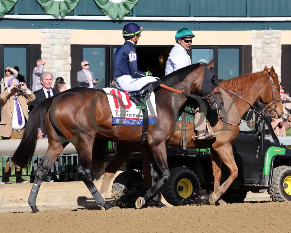 Sierra Leone - The Toyota Blue Grass G1 100Th Running 04 - 06 - 24 R10 Kee Post Parade 03 Keeneland