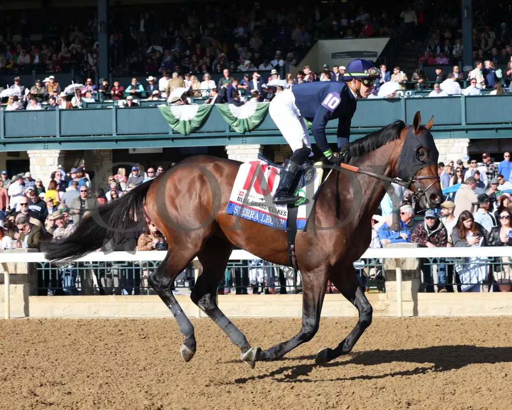 Sierra Leone - The Toyota Blue Grass G1 100Th Running 04 - 06 - 24 R10 Kee Post Parade 04 Keeneland