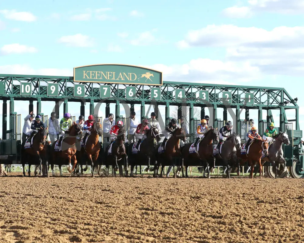 Sierra Leone - The Toyota Blue Grass G1 100Th Running 04 - 06 - 24 R10 Kee Start 01 Keeneland