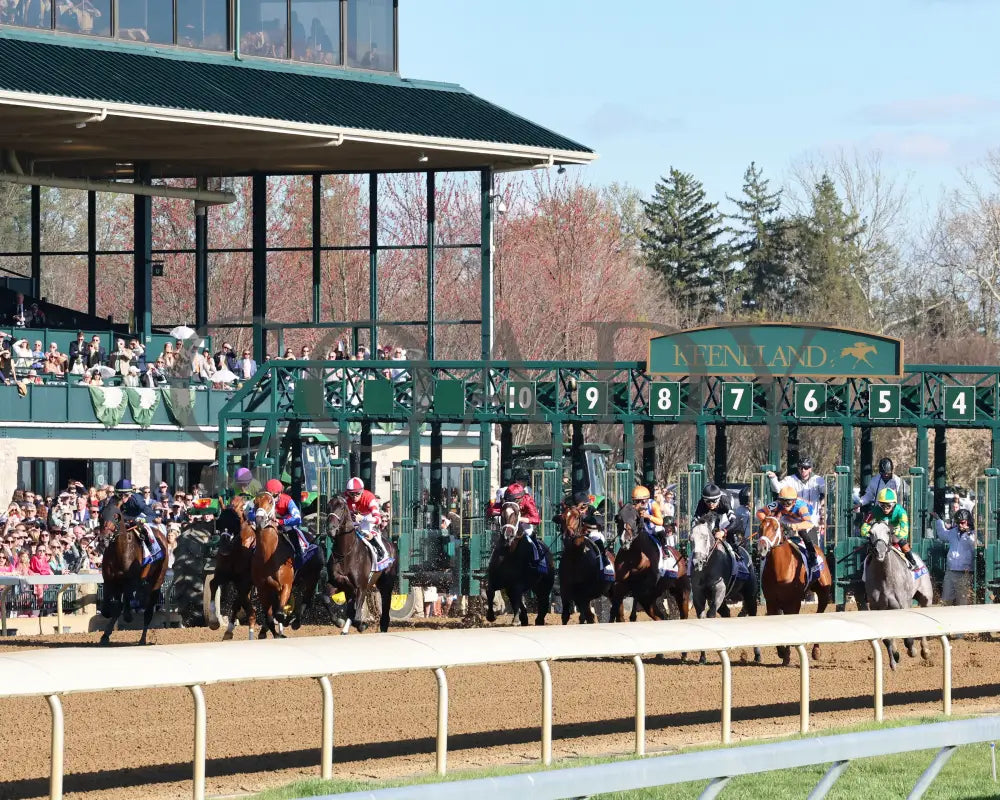 Sierra Leone - The Toyota Blue Grass G1 100Th Running 04 - 06 - 24 R10 Kee Start 03 Keeneland