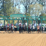 Sierra Leone - The Toyota Blue Grass G1 100Th Running 04 - 06 - 24 R10 Kee Start 04 Keeneland