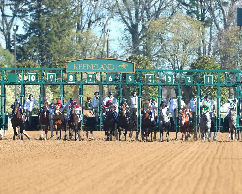 Sierra Leone - The Toyota Blue Grass G1 100Th Running 04 - 06 - 24 R10 Kee Start 04 Keeneland