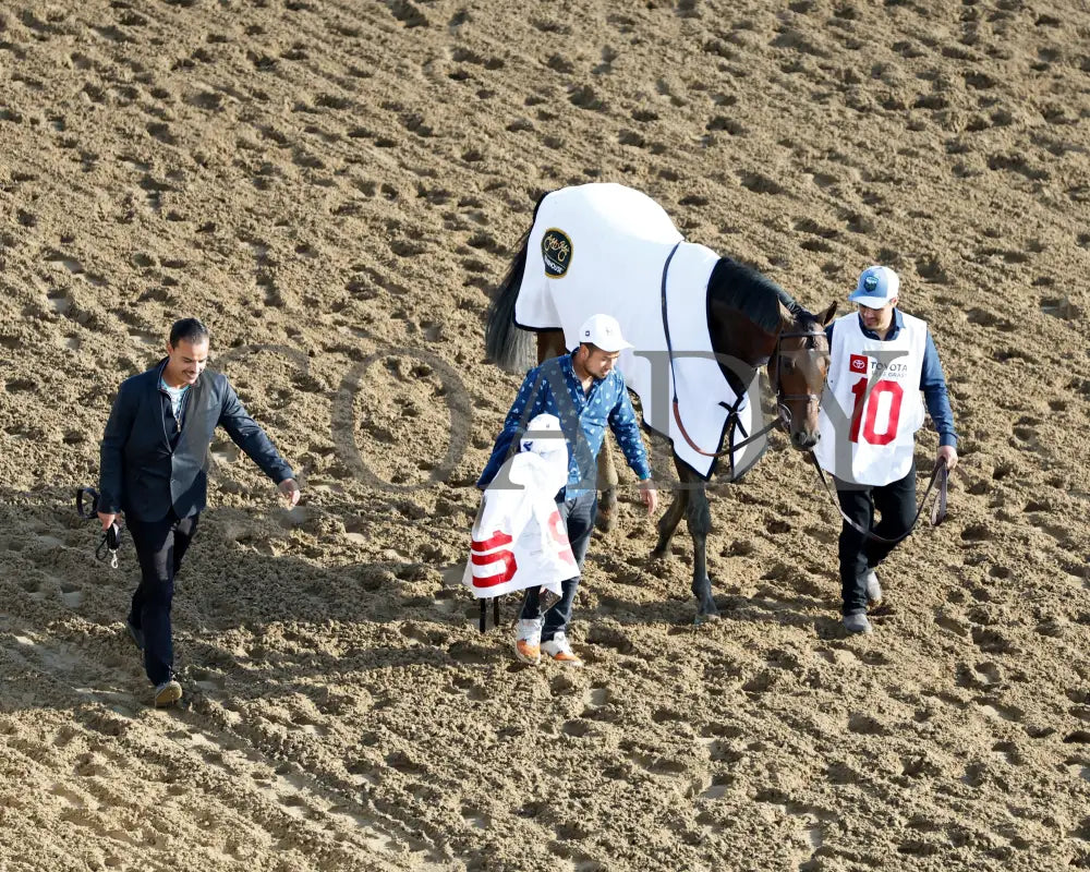 Sierra Leone - The Toyota Blue Grass G1 100Th Running 04 - 06 - 24 R10 Kee Walk Back 01 Keeneland