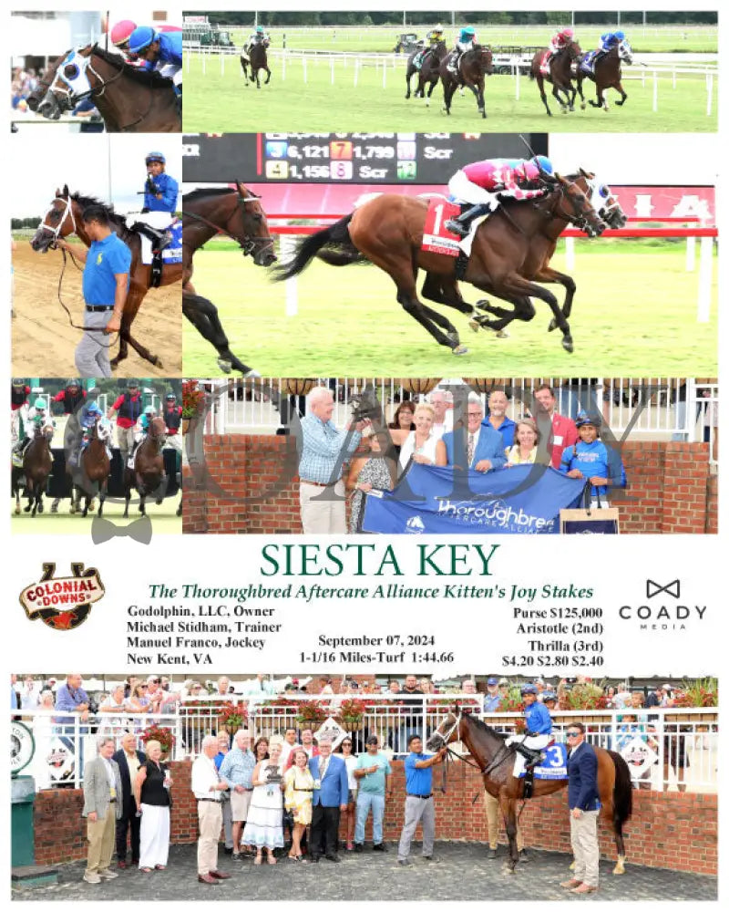 Siesta Key - The Thoroughbred Aftercare Alliance Kitten’s Joy Stakes 09-07-24 R07 Cnl Colonial Downs