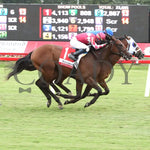 Siesta Key - The Thoroughbred Aftercare Alliance Kitten’s Joy Stakes 09-07-24 R07 Cnl Finish 01