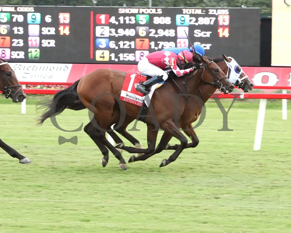 Siesta Key - The Thoroughbred Aftercare Alliance Kitten’s Joy Stakes 09-07-24 R07 Cnl Finish 01