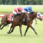 Siesta Key - The Thoroughbred Aftercare Alliance Kitten’s Joy Stakes 09-07-24 R07 Cnl Finish 03