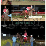 Silent Chaos - 10-27-24 R04 Mnr Mountaineer Park