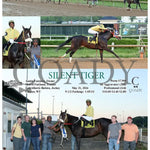 Silent Tiger - 05-21-24 R04 Mnr Mountaineer Park