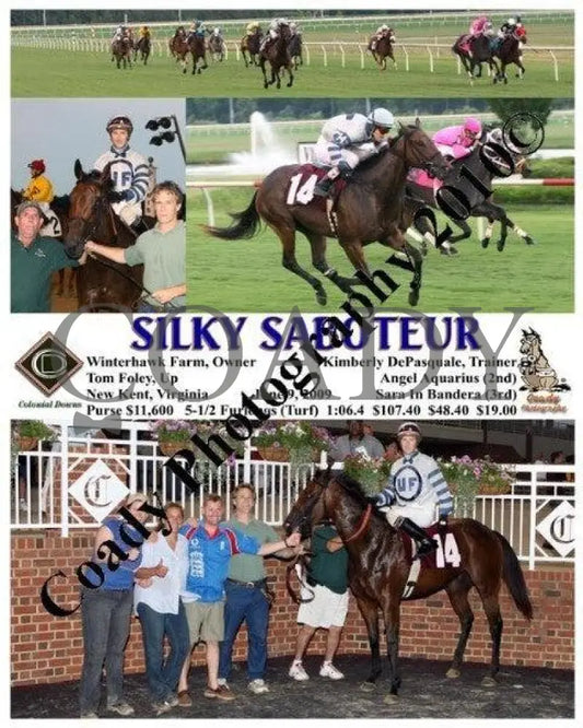 Silky Saboteur - 6 9 2009 Colonial Downs
