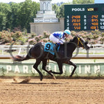 Silver Kiss - 071924 Race 07 Finish 01 Belterra Park