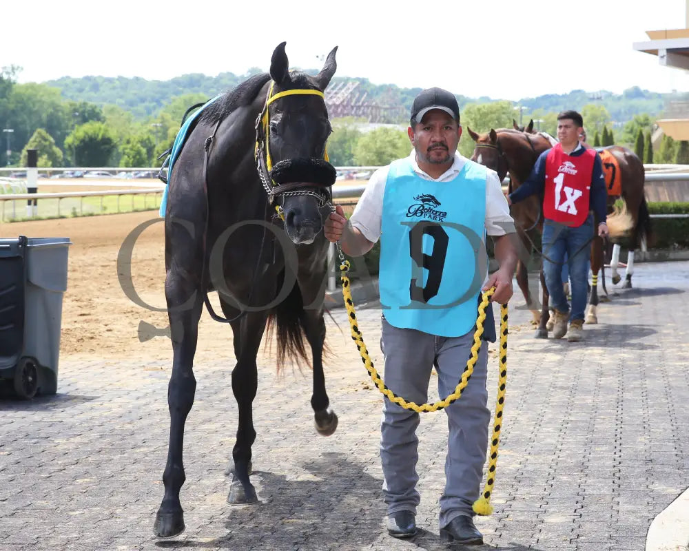 Silver Kiss - 071924 Race 07 Paddock 01 Belterra Park