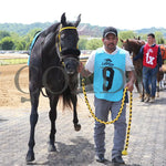 Silver Kiss - 071924 Race 07 Paddock 01 Belterra Park