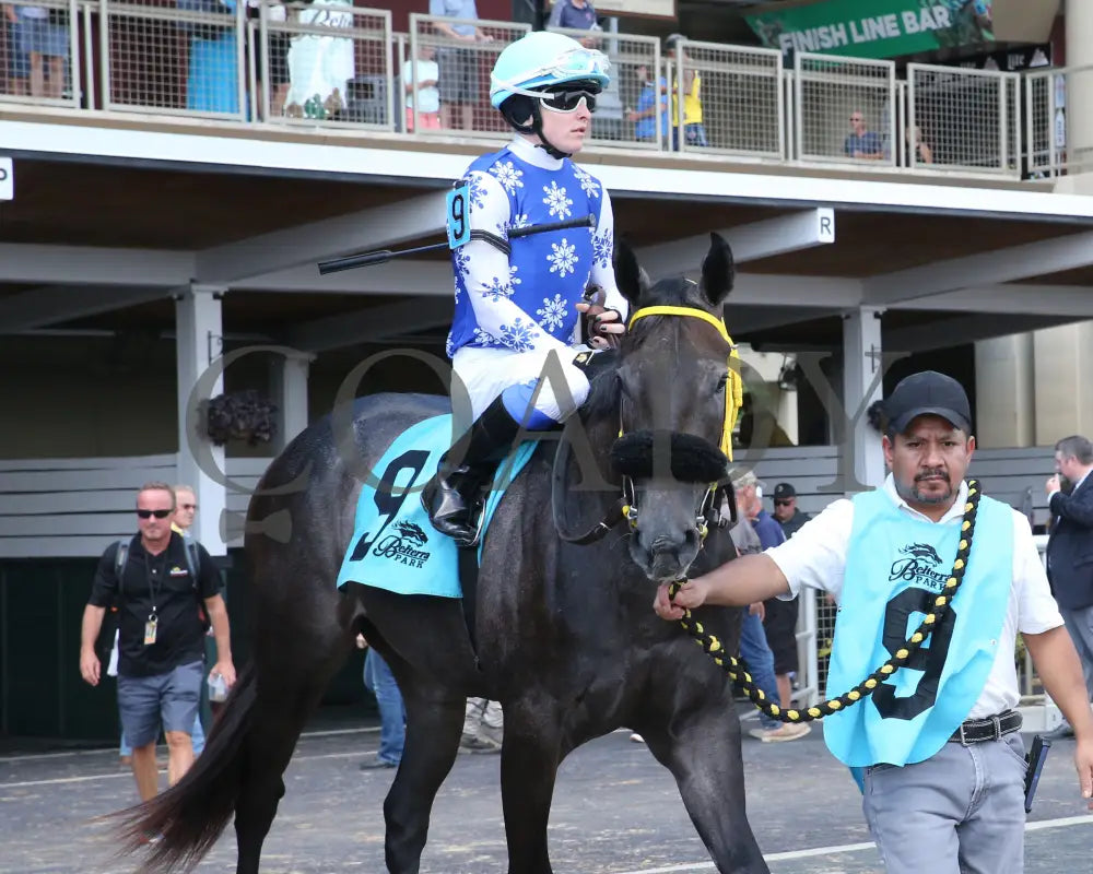 Silver Kiss - 071924 Race 07 Paddock 02 Belterra Park