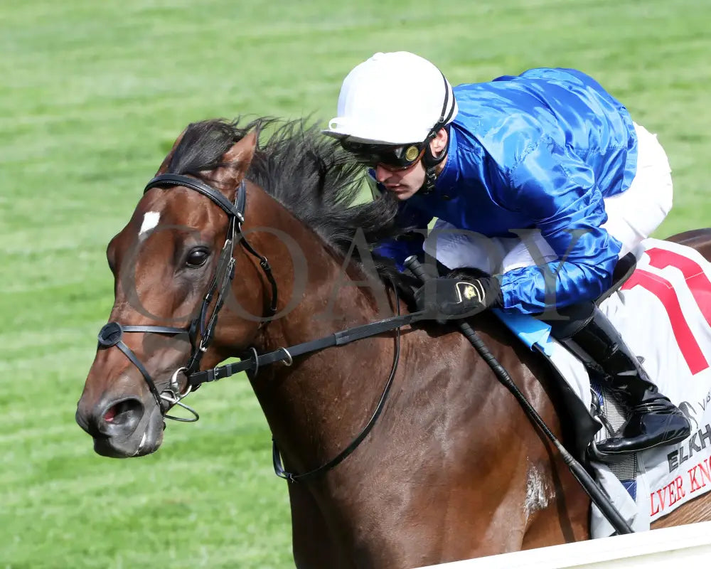 Silver Knott - The Visitlex Elkhorn G2 39Th Running 04 - 20 - 24 R08 Kee Inside Finish 01 Keeneland