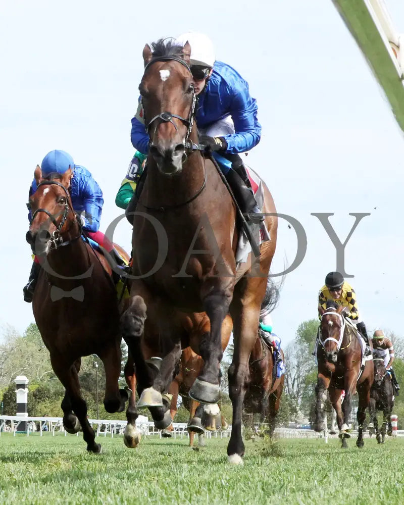 Silver Knott - The Visitlex Elkhorn G2 39Th Running 04 - 20 - 24 R08 Kee Under Rail 02 Keeneland