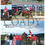 Silver Stick Stair - 073024 Race 03 Mnr Mountaineer Park