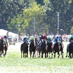 Simply In Front - The Ags Music City Stakes G1 09-07-24 R07 Kd Head On 01 Kentucky Downs