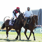 Simply In Front - The Ags Music City Stakes G1 09-07-24 R07 Kd Post Parade 02 Kentucky Downs