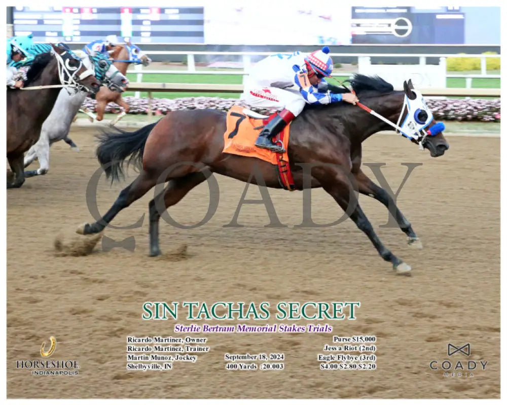 Sin Tachas Secret - Sterlie Bertram Memorial Stakes Trials 09-18-24 R11 Ind Action Indiana Grand