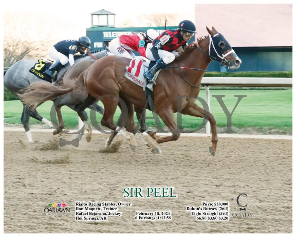 Sir Peel - 02-18-24 R09 Op Action Oaklawn Park