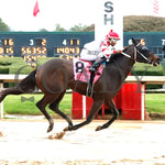 Skelly - King Cotton Stakes 74Th Running 02-03-24 R08 Oaklawn Park Finish 01