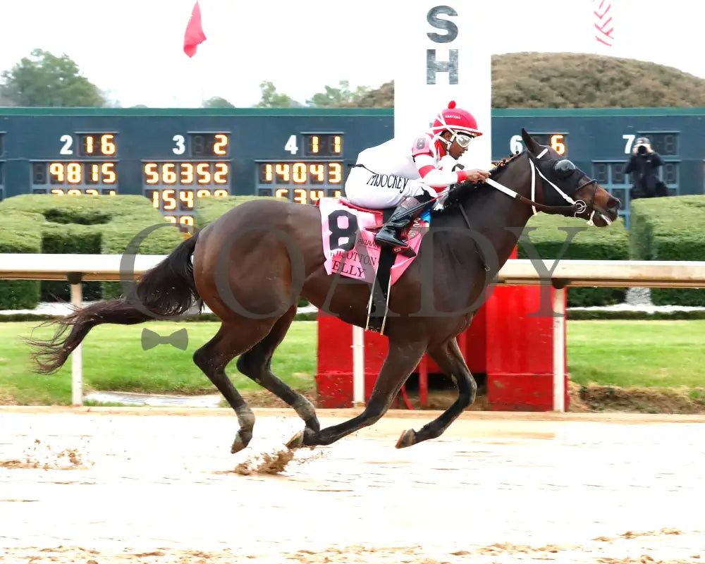 Skelly - King Cotton Stakes 74Th Running 02-03-24 R08 Oaklawn Park Finish 01