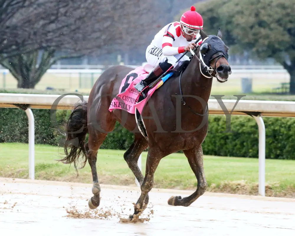 Skelly - King Cotton Stakes 74Th Running 02-03-24 R08 Oaklawn Park Finish 02