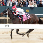 Skelly - King Cotton Stakes 74Th Running 02-03-24 R08 Oaklawn Park Inside Finish 01