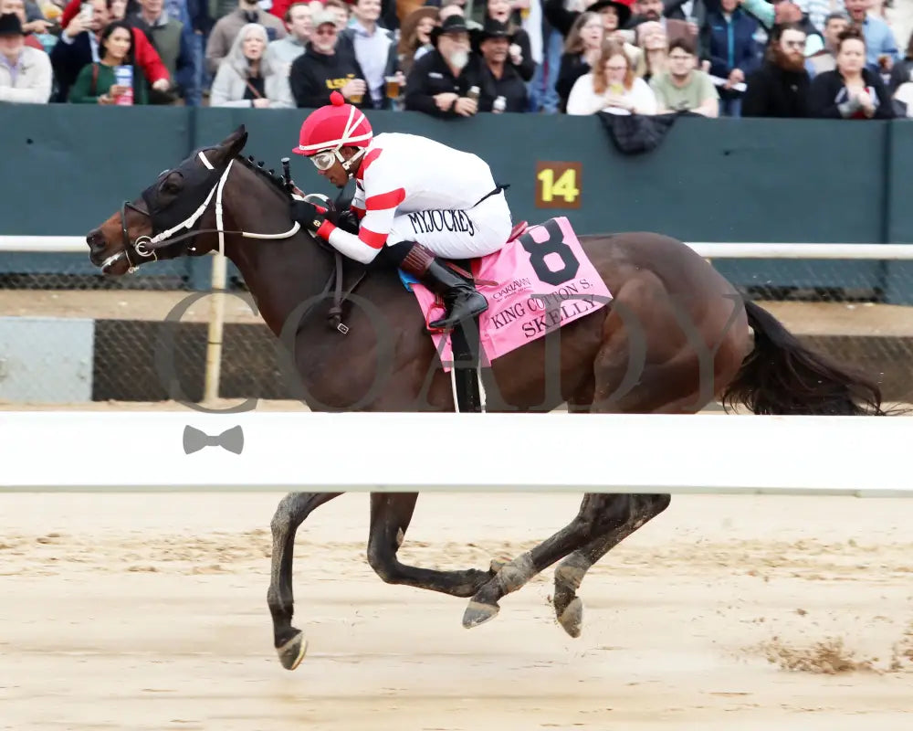 Skelly - King Cotton Stakes 74Th Running 02-03-24 R08 Oaklawn Park Inside Finish 01