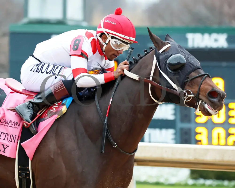 Skelly - King Cotton Stakes 74Th Running 02-03-24 R08 Oaklawn Park Tight Finish 01