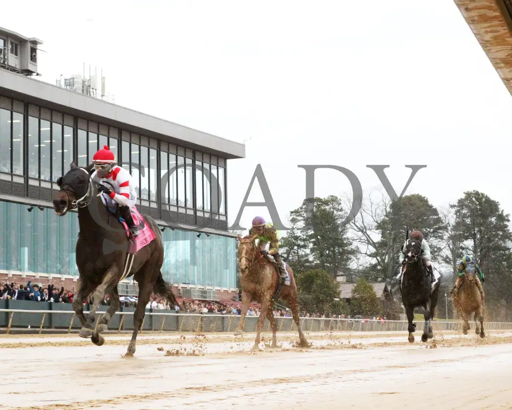 Skelly - King Cotton Stakes 74Th Running 02-03-24 R08 Oaklawn Park Underrail 01