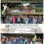 Skippylongstocking - Charles Town Classic G2 16Th Running 08-23-24 R11 Ct Hollywood Casino At Races