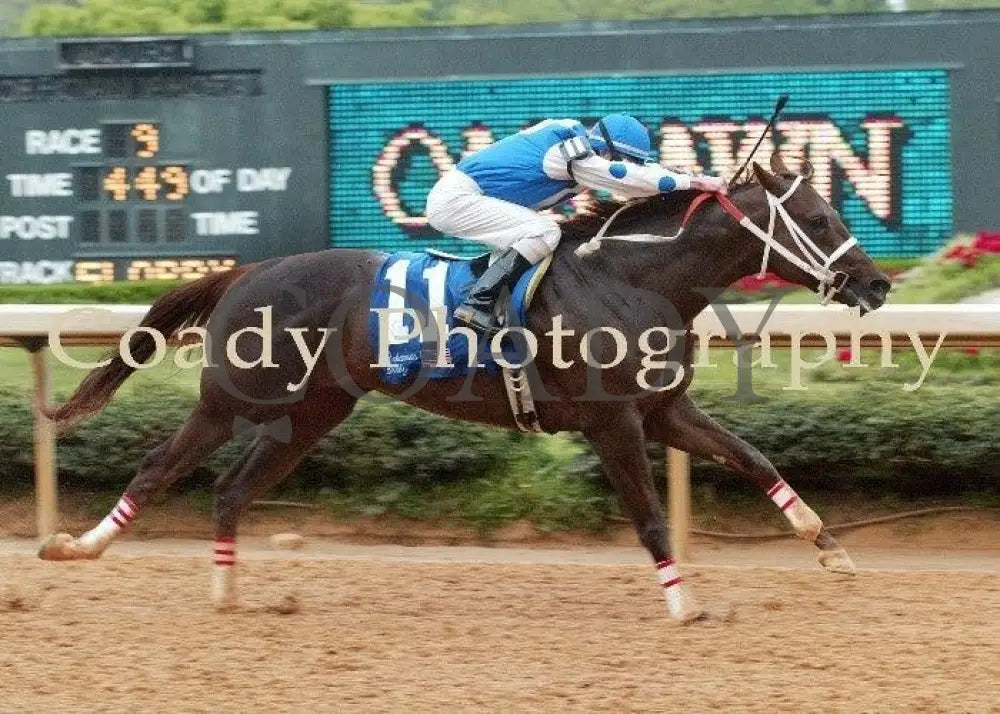 Smarty Jones - The Arkansas Derby Finish Champion Horses