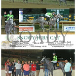 Snowy Juba Cat - 07-18-24 R06 Ct Hollywood Casino At Charles Town Races