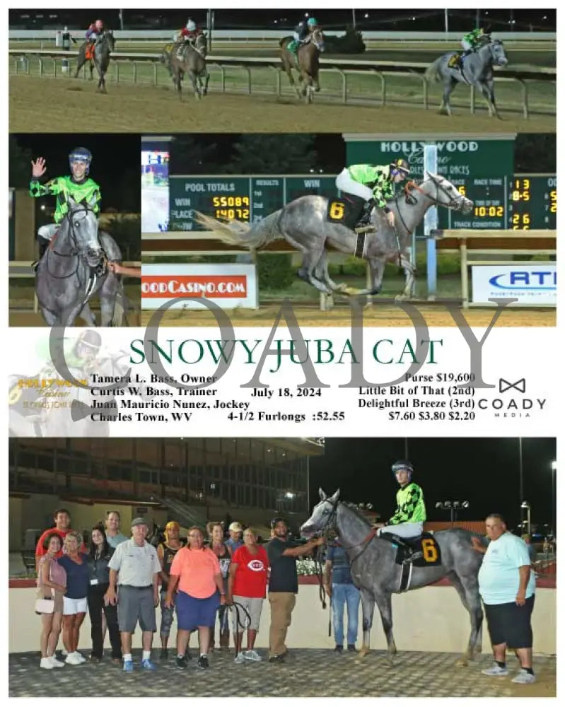 Snowy Juba Cat - 07-18-24 R06 Ct Hollywood Casino At Charles Town Races