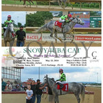 Snowy Juba Cat - Happy Birthday Tamara! 05-23-24 R01 Ct Hollywood Casino At Charles Town Races