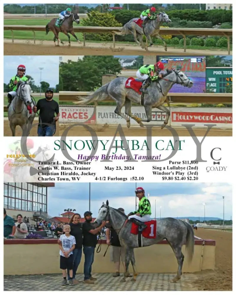 Snowy Juba Cat - Happy Birthday Tamara! 05-23-24 R01 Ct Hollywood Casino At Charles Town Races