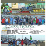 Snowy Juba Cat - The Bo Haslup Memorial Race 06-28-24 R02 Ct Hollywood Casino At Charles Town Races