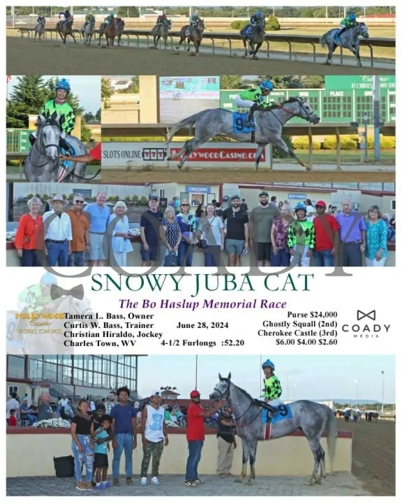 Snowy Juba Cat - The Bo Haslup Memorial Race 06-28-24 R02 Ct Hollywood Casino At Charles Town Races