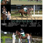 So Red The Rose - 09-17-24 R04 Mnr Mountaineer Park