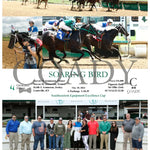 Soaring Bird - 05-10-24 R03 Cd Group Churchill Downs