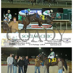 Social Chic - 02-07-24 R04 Ct Hollywood Casino At Charles Town Races